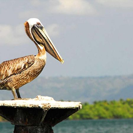 Paraiso Caño Hondo Los Guineos Perdidos Exterior foto