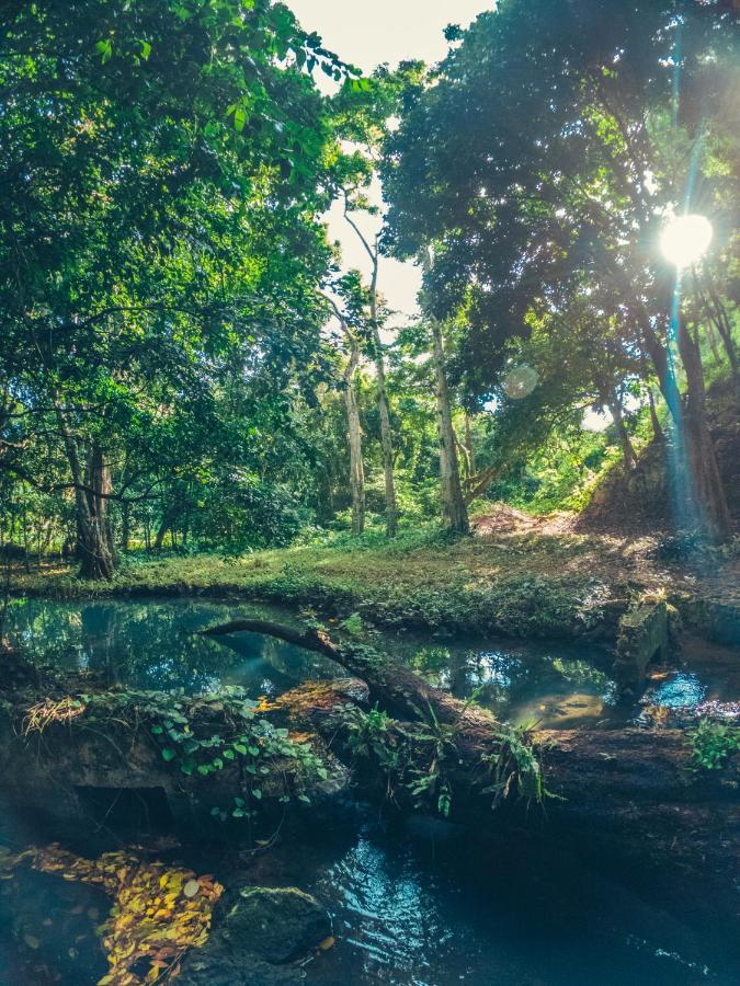 Paraiso Caño Hondo Los Guineos Perdidos Exterior foto
